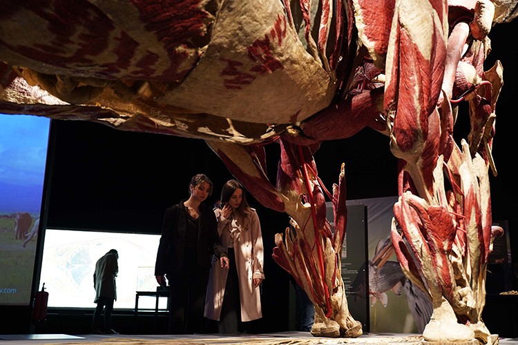 Sanat Camiası Sergiye Koştu