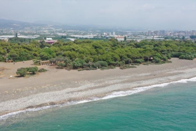 İskele yaptırılacak