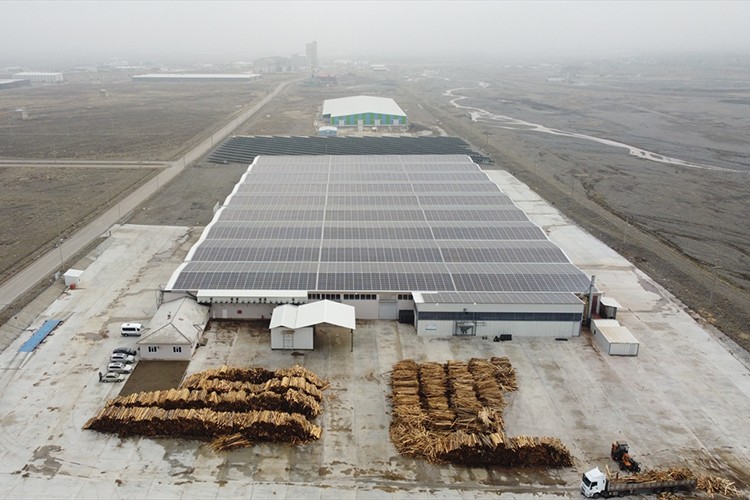 Atık orman ürünleri "pelet" ile ekonomiye kazandırılıyor