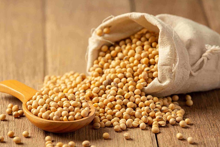 Gümrük vergisi yıl sonuna kadar sıfırlandı