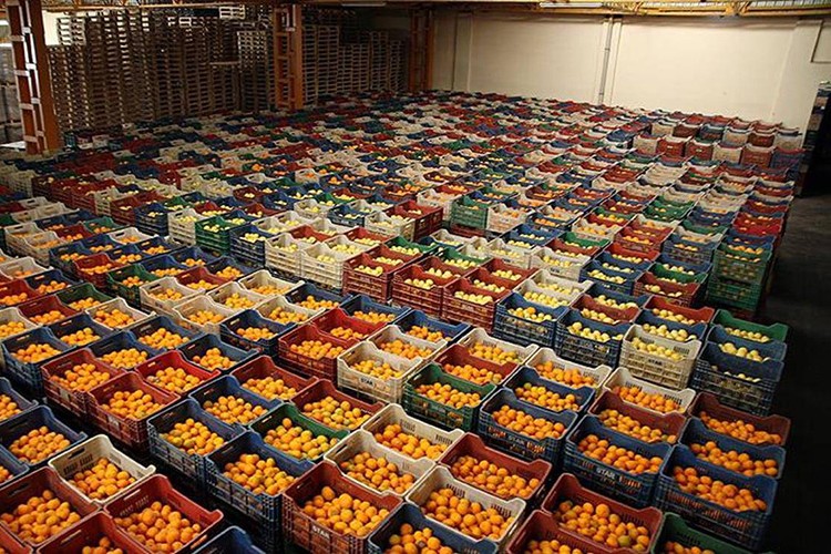 İhracat 1 milyar dolara ulaştı