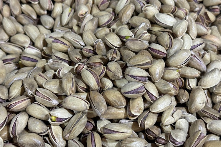 9 aylık fıstık ihracatı 150 milyon dolara yaklaştı