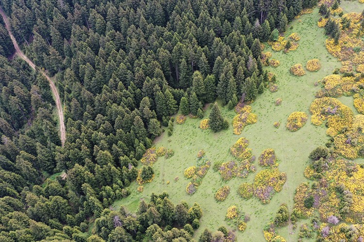 1800 metrede bol oksijen keyfi