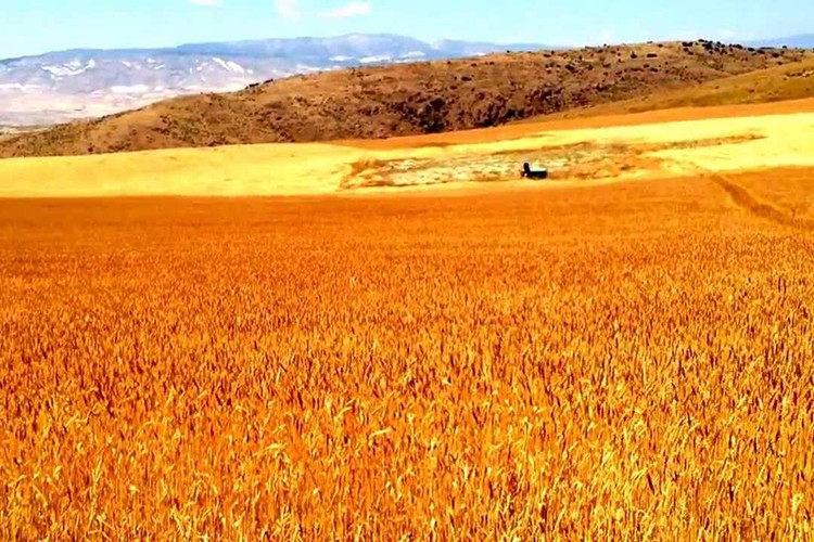 Türkiye hazırlık yapmalı