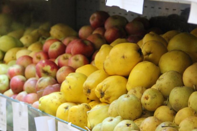 Yaş meyve ve sebze ihracatında aslan payı Akdeniz'in