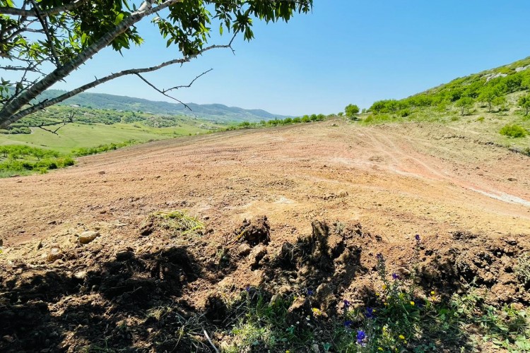 Elite Naturel, Avrupa'ya 350 Ton Taze Meyve ve Sebze İhraç Edecek!