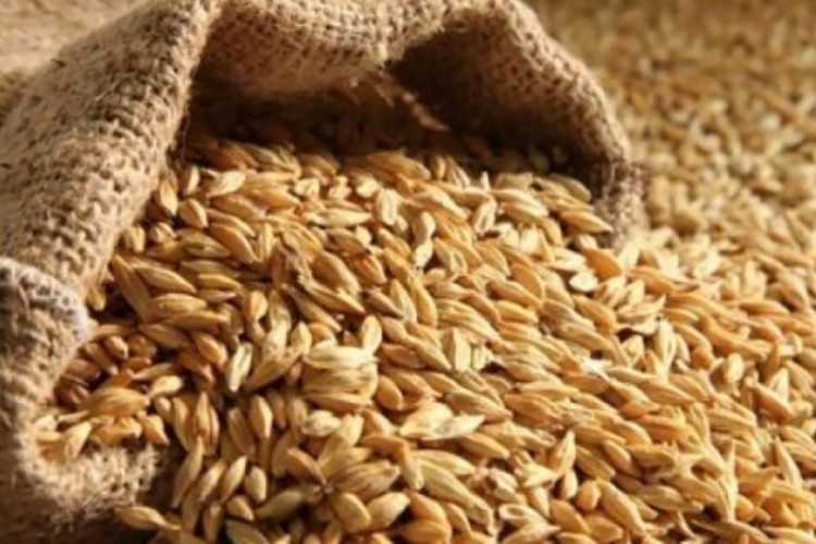 Satılık yem fabrikası