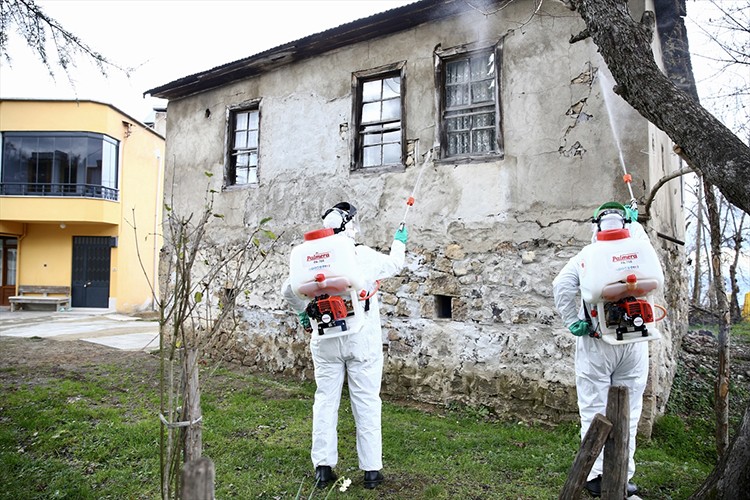 Giresun'da kahverengi kokarcayla mücadele dört koldan devam ediyor