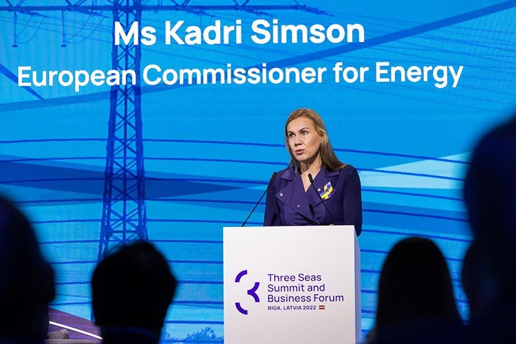 Üç Deniz girişiminde Ukrayna