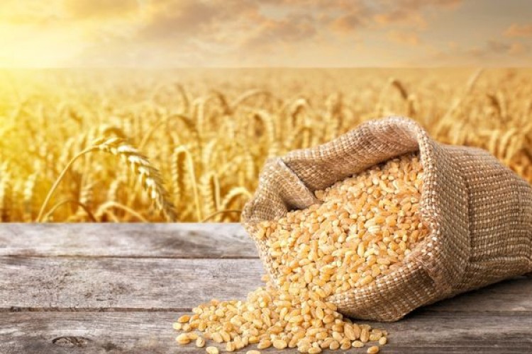 Hububattaki gümrük vergisinin düşürülmesi istendi