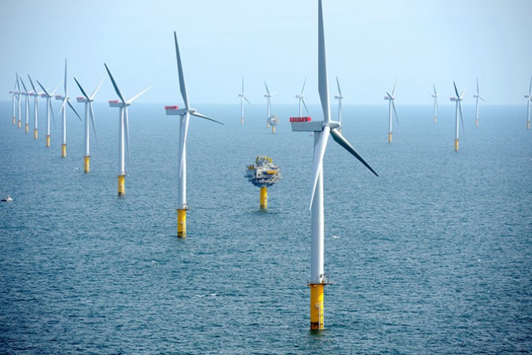 Japonya ve Danimarka açık deniz rüzgar enerjisi üretiminde işbirliği hedefliyor