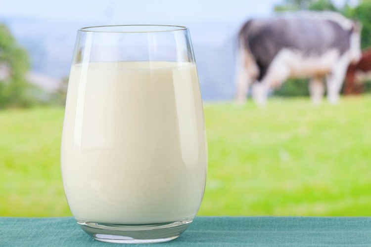 9 milyon litre süt alacak