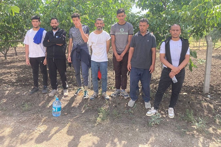 Edirne'de 26 düzensiz göçmen yakalandı