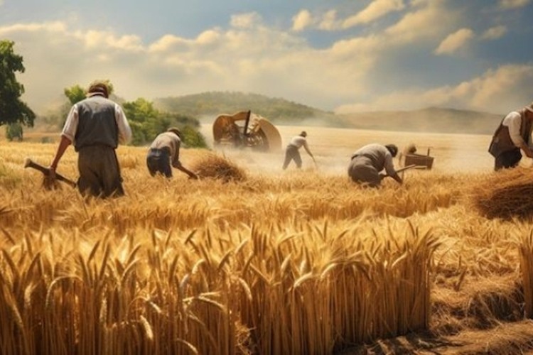 Üreten çiftçi batıyor tüketen pahalıya alıyor