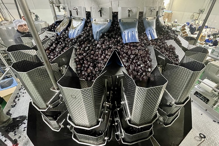 Marmarabirlik zeytinyağı tüketimini "promosyon" ile artırmayı hedefliyor