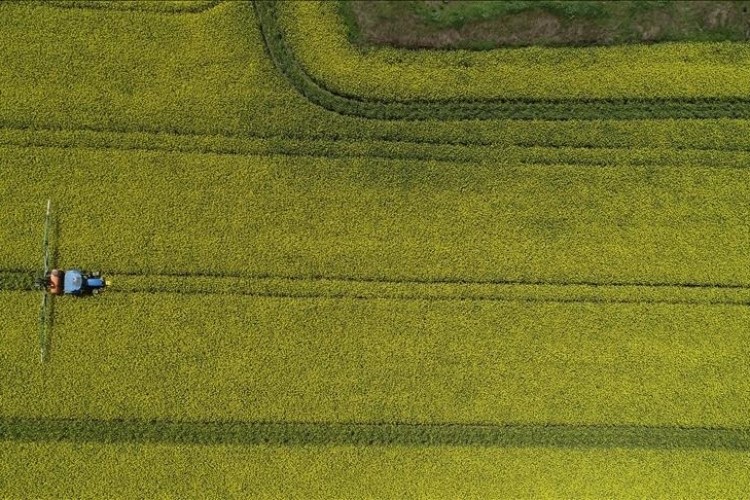 Türkiye, 6 tarım ürününün üretiminde, 5 ürünün ihracatında dünya lideri