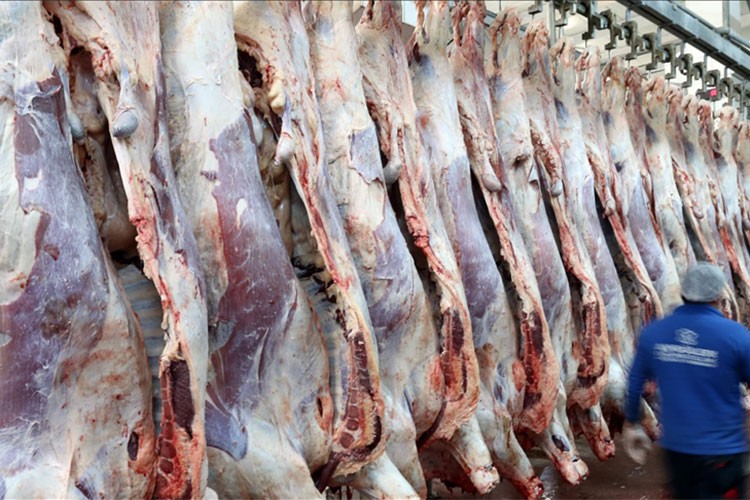 Maliye, kırmızı et sektörünün devlerini kayıt dışılık takibine aldı