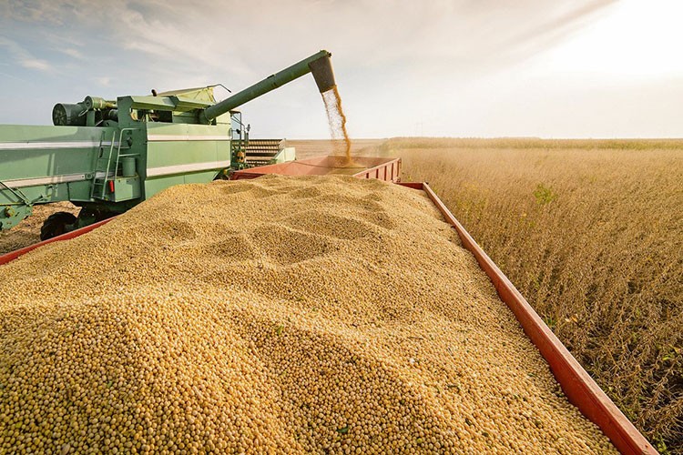Türkiye genelinde tarım sayım seferberliği başladı