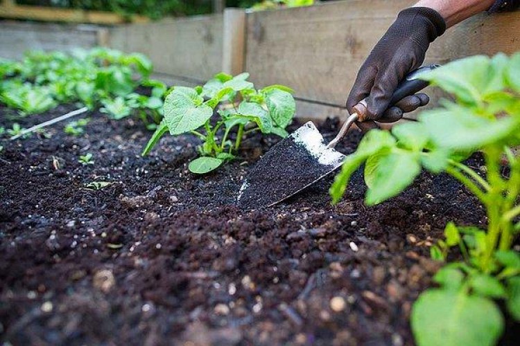 Türkiye'de toprağı korumak için "iklim senaryoları" da uygulanıyor