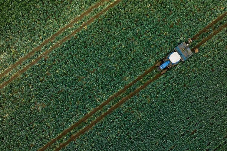 Tarımsal girdi fiyat endeksi, martta aylık yüzde 1,16, yıllık yüzde 49,93 arttı