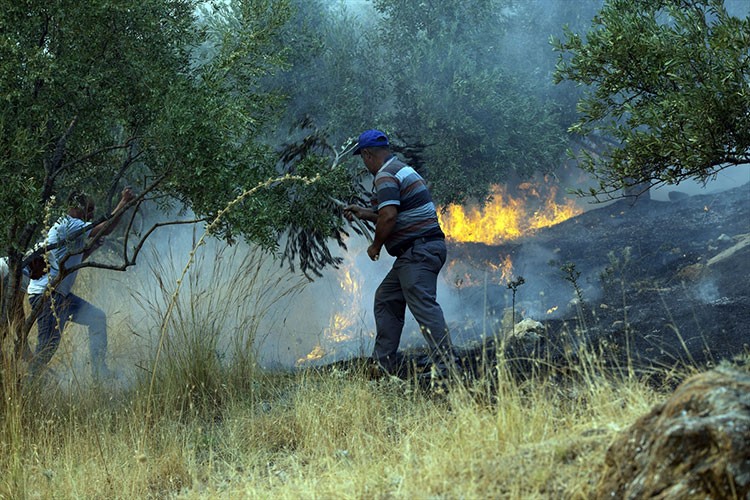 Aydın Germencik'te orman yangını