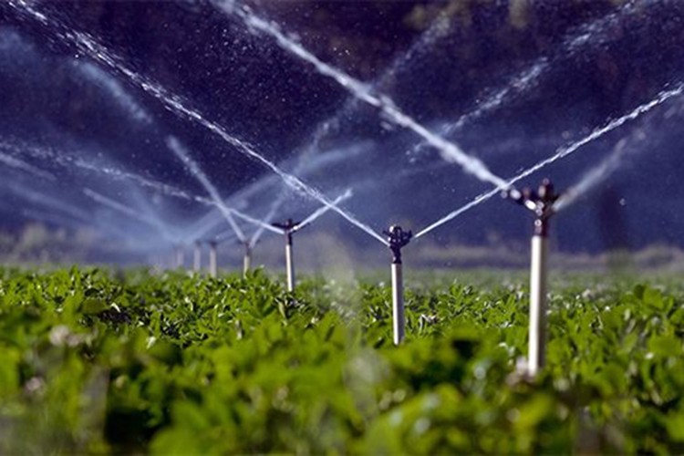 Geleceğin tarımı akıllı sulamada