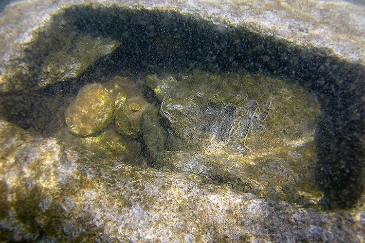 Van Gölü'nde, işaretler bulunan mezar taşları görüldü