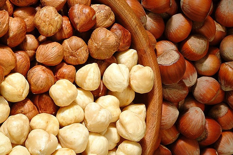 Fındık alımları başlıyor