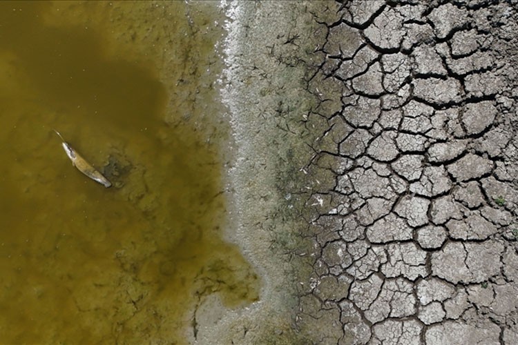 Yüksek sıcaklıklar tarım ve çevreyi tehdit ediyor
