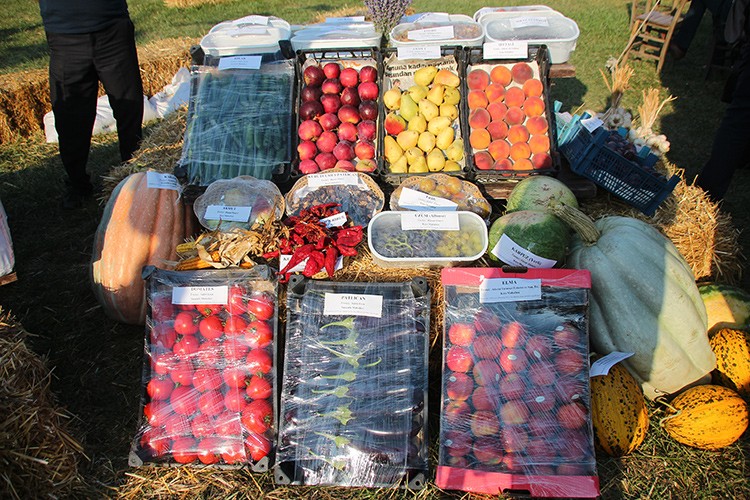 Tarım günleri şenliği