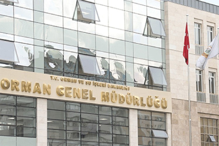 Orman Genel Müdürlüğü 4 bin 500 geçici işçi alacak