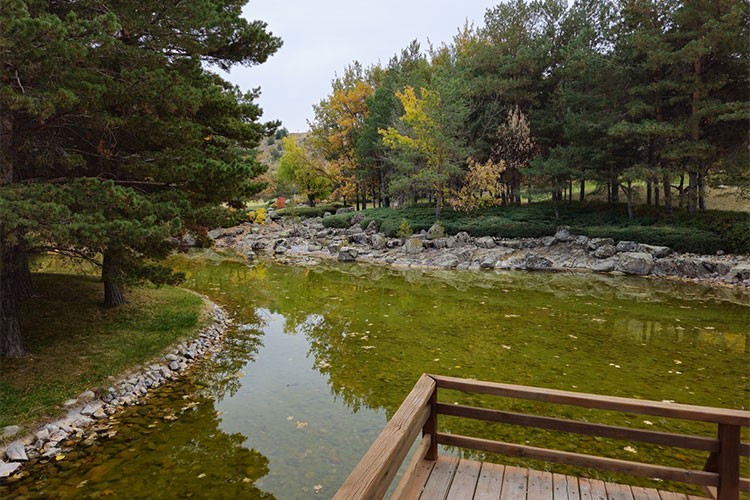 Bozkırın ortasındaki Japon Bahçesi,