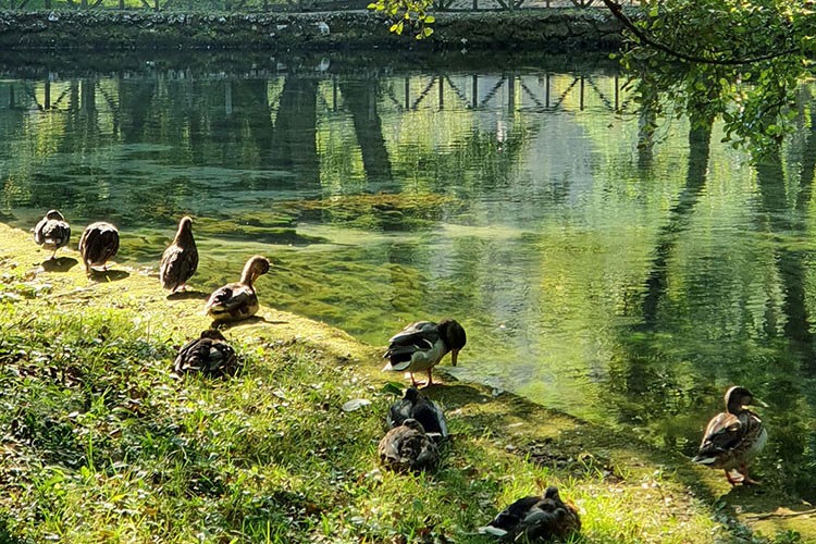 Balkanlar' da yemyeşil bir ülke: Bosna-Hersek