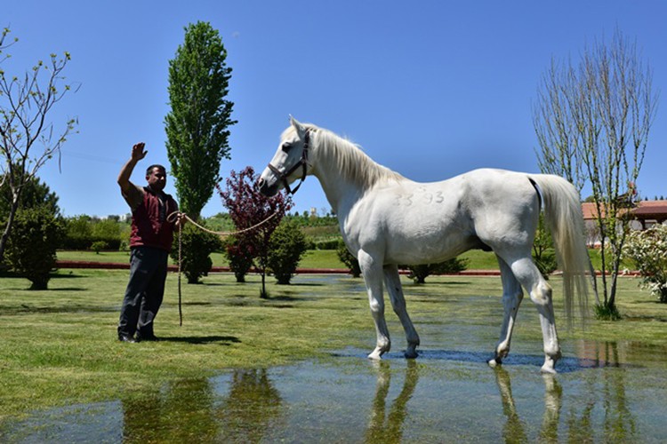 Seyisbaşı kursu açılacak