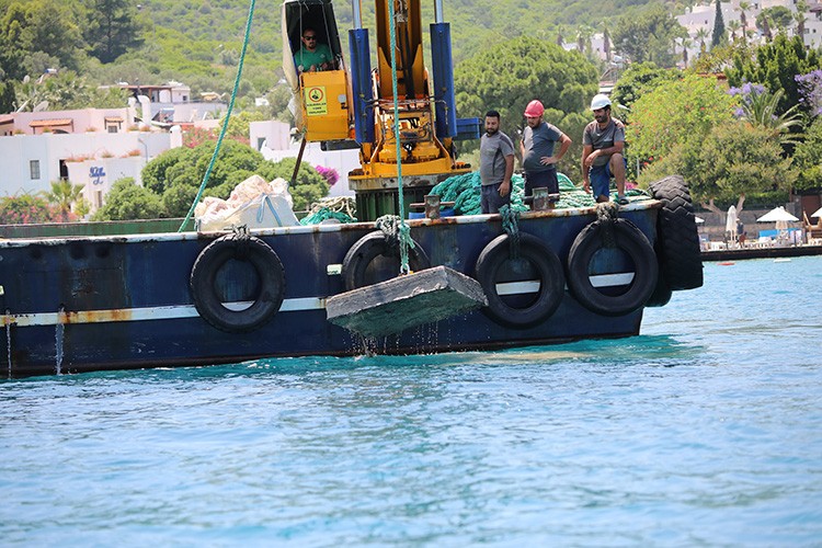 Boddrum'da çevre haftası buluşması