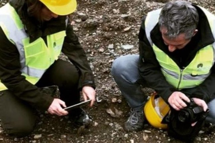 Kastamonu'nun Hanönü ilçesinde 35 endemik tür tespit edildi