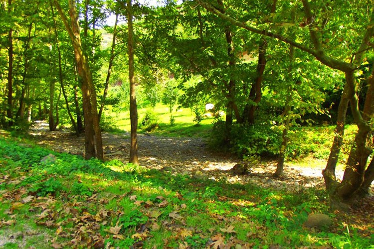 20 yıllığına kiralık mesire