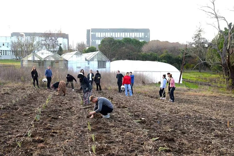 Bursa'da organik tarım eğitimi başladı