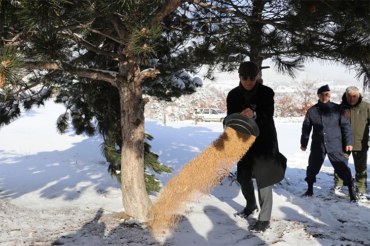 Amasya'da yaban hayvanları için doğaya yem bırakıldı