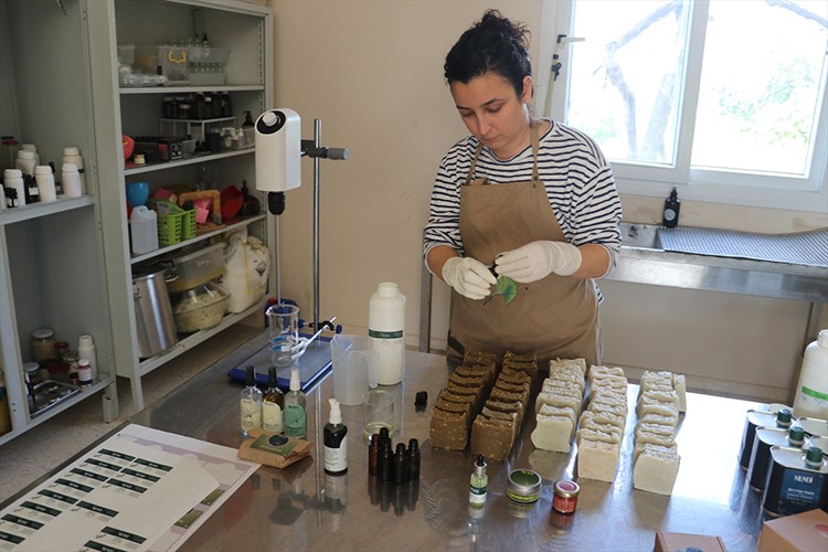 Memleketine dönen kadın, aromatik bitkiler üretiyor