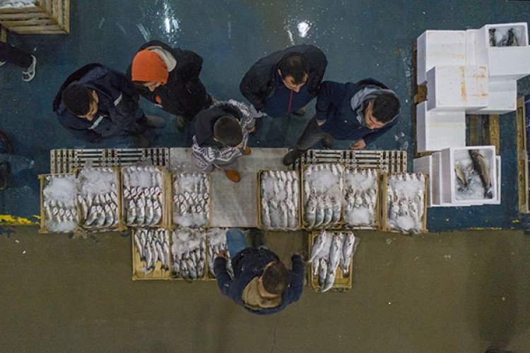 Sezonu bereketli kapatıyor