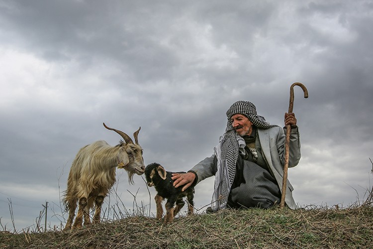 Dünya Çitfçiler Günü kutlanıyor