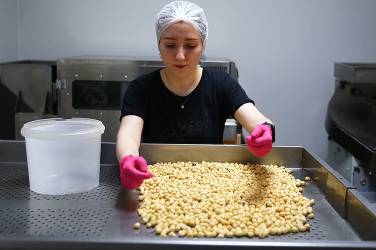 İşlediği fındığı kendi markasıyla pazarlıyor