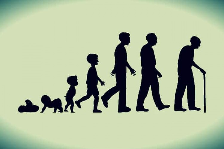 Türkiye'de beklenen yaşam süresi 77,7 yıl