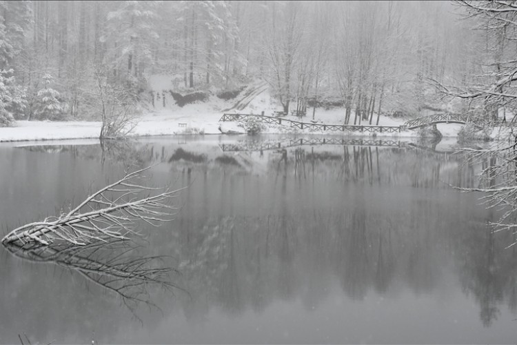 Düzce'de kar yağışı ve kuvvetli rüzgar etkili oldu
