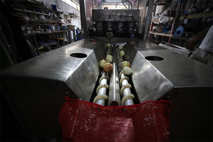 Yazılım destekli soğan soyma makinesi iş kolaylığı sağlıyor