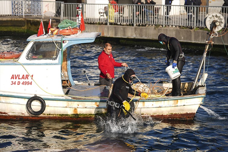 Haliç'te "Deniz Dibinden Olta Kurşunlarının Çıkarılması" etkinliği yapıldı