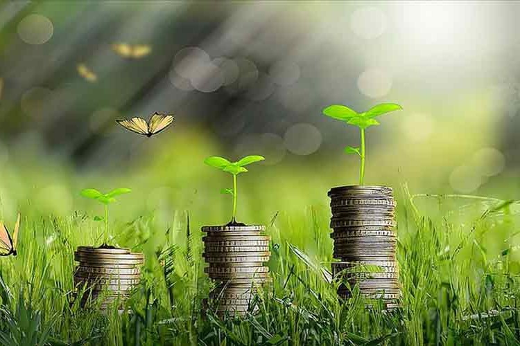 Yeşil tahvil ihracı için 3 finans kuruluşuna yetki