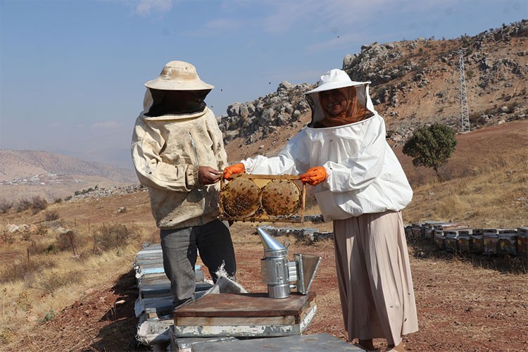 Babasından öğrendiği arıcılıkta kendi kovanlarını kurdu