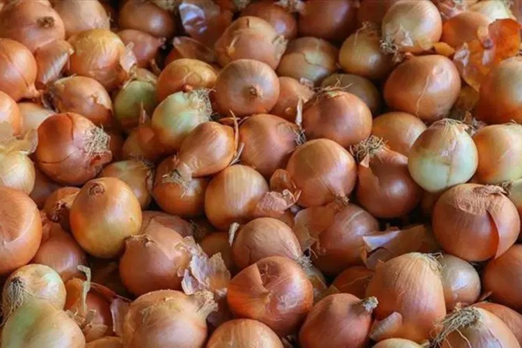 İstanbul'da zam şampiyonu kuru soğan